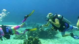 NABOO Dive Shop  ROATAN [upl. by Llemert]