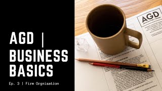 Business Basics  Firm Organization [upl. by Kraul751]