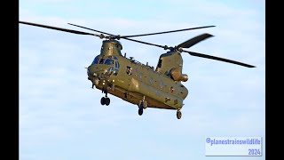 Awesome RAF Chinook at Holbeach Air Weapons Range live firing combat training 4K [upl. by O'Hara806]