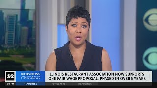 Compromise reached on plan to eliminate lower minimum wage for Chicagos tipped workers [upl. by Leilamag41]