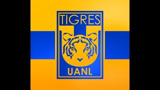 Sentimiento de la quotUquot Tigres [upl. by Vite]