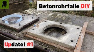 BetonrohrFALLE selber bauen🔨UPDATEFallenjagd 2024TrapperInfo [upl. by Ahsikat240]