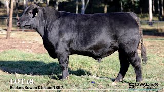 Lot 18 Peakes Bowen Chisum T897 [upl. by Jarlath]