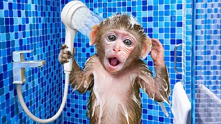 KiKi Monkey bathing in the toilet so funny with Duckling amp play at swimming pool  KUDO ANIMAL KIKI [upl. by Ydnem]