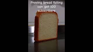 proving bread falling can get you to 100 subs day 5 memes funny bread [upl. by Lohman123]