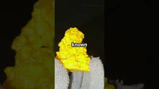 The Power of Phosphorus and Sulfur science viral shorts videoon facts chemistry [upl. by Aneeuqal]