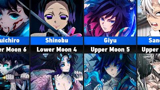 DEMON Version Of DEMON SLAYERS [upl. by Osner]