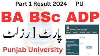 BA BSc ADP Part 1 Result 2024 PU  3rd year ADP Result 2024 PU  ADA ADS Part 1 Result 2024 PU [upl. by Gertruda509]