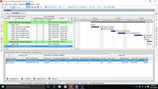 How to Make Budget Report in Primavera P6 [upl. by Barker671]