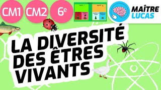 Diversité des êtres vivants  classer les êtres vivants CM1  CM2  6ème Cycle 3  Sciences [upl. by Idalla]