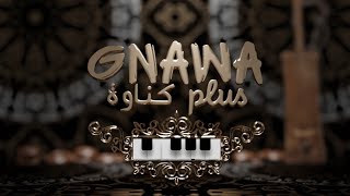 Gimbri Solo Gnawa HQ Music  موسيقى طقوس كناوة [upl. by Home]