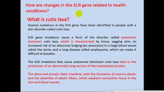 Biochemistry  dr sameeh  Elastin Synthesis amp Diseases [upl. by Liatris]