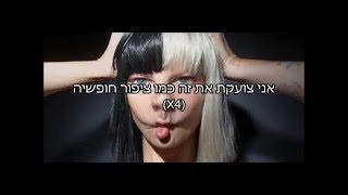 Sia  bird set free מתורגם [upl. by Sartin103]