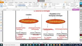 microbiologie S3 SVIBCG [upl. by Willem902]