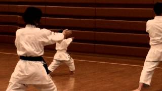 瀬戸塾  SETO JUKU JKA Tokyo Meguro Kata Heian Sandan Shotokan Kyokai Berlin 042015 in Tokyo [upl. by Ylyl159]