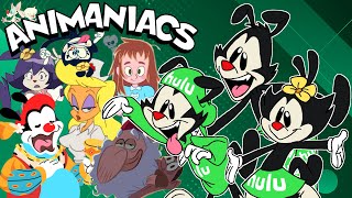 The Animaniacs Reboot was an UNBELIEVABLE MESS [upl. by Stolzer91]