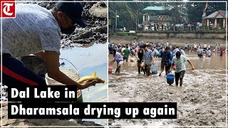 Dal Lake in Dharamsala drying up again locals launch campaign to save dying fish [upl. by Anwahsat]