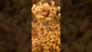 Lets try Zach Chois SILKY mac and cheese [upl. by Nagud]