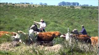 The Gauchos of Uruguay [upl. by Krute]