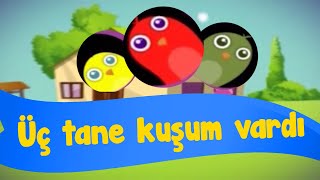 Üç tane kuşum vardı  Cennet Kuşları Bebek  Türkçe طيور الجنة [upl. by Auqenaj]