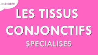 Les tissus conjonctifs spécialisés  Histologie [upl. by Ajiram12]