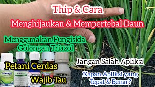 Tip Dan Cara Menghijaukan Dan Mempertebal Daun TanamanMenggunakan Fungisida Golongan Triazol [upl. by Onabru]