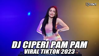 DJ CIPERI PAM PAM x TOCA TOCA VIRAL TIK TOK TERBARU 2023 [upl. by Ylellan]