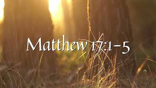 Daily Bible Reading for 11624  Matthew 1715 [upl. by Ykcaj]