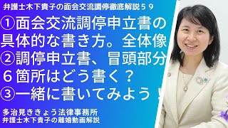 見ながら書けば面会交流調停申立書が完成。調停申立書の具体的な書き方。面会交流調停申立書の全体像。面会交流調停申立書の冒頭６箇所に書く具体的内容と安心に書く順序は？～弁護士木下貴子の面会交流調停解説59 [upl. by Eizzo587]