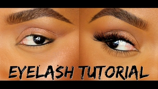 How To Apply False Eyelashes amp Individual Lashes  Ellarie [upl. by Lehcor593]