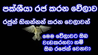 පක්ශියා රජකරන වේලාව දැන ගන්න හොද හෝ නරක වැඩවලට මේ වෙලාවන් බාවිතා කරන්නpakshiya rajakarana welawa [upl. by Rosita]