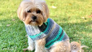 Crochet a dog sweater  Small  30cm long  Full tutorial [upl. by Fenwick]