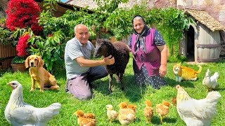 This Couple Lives Entirely According To Tradition in An Azerbaijani Village [upl. by Milson180]