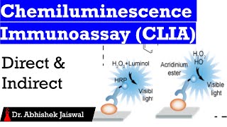 Chemiluminescence ImmunoassayCLIADirectIndirect [upl. by Johnsson]