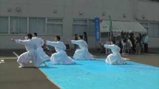 SHINTAIDO exhibition in Japan  Karate Katas  新体道 空手 [upl. by Jentoft]