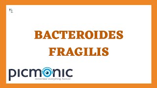 Bacteroides fragilis its Morphology Pathogenesis Lab Dx Treatment ft PicmonicVideoNursing [upl. by Aicela]