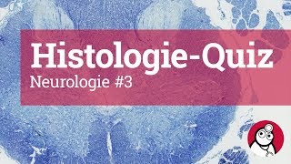 DocCheck HistologieQuiz Neurologie 3 [upl. by Htyderem961]