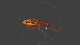 Beetle animations macrodontia cervicornis [upl. by Ahdar]