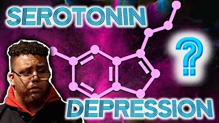 Serotonin Hypothesis of Depression Is It Accurate  Neuro3 [upl. by Feer22]