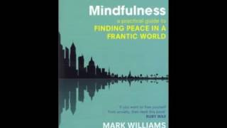 Mindfulness Meditation Exploring Difficulties [upl. by Ynnahc312]