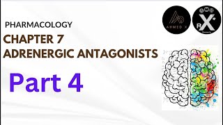 Pharmacology  adrenergic antagonist part 4 المنهج الوزاريّ الموحد [upl. by Yralih]