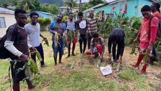 Iguana hunting in St Vincent  Open season [upl. by Oretna]