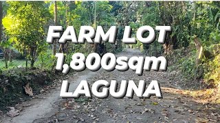 FARM LOT FOR SALE LAGUNA [upl. by Araht504]