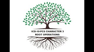 ICD10PCS Character 3 Root Operations [upl. by Anawqahs751]