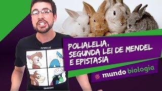 🧬 Genética 48 Polialelia 2ª Segunda Lei de Mendel e Epistasia  Biologia  ENEM [upl. by Ile95]