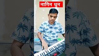 नागिन धुन piyano nagin dhun viral harmoniyam dhun [upl. by Eerized]