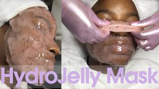 HydroJelly Mask  FULL Application and Removal [upl. by Slade]