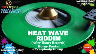 Heat Wave Riddim Mix November 2011 Mix April 2012 After Hours Records [upl. by Verna]