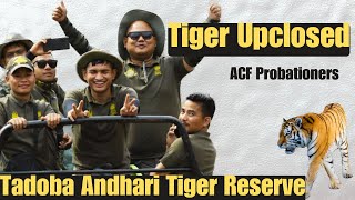 Tigress Maya upclose ACF probationers during South India Tour forester tsuamkichirr [upl. by Four]