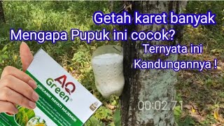 aq green untuk karet pupuk organik [upl. by Avlasor]